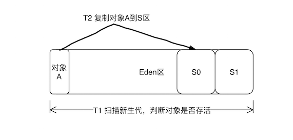 单次 MinorGC 复制