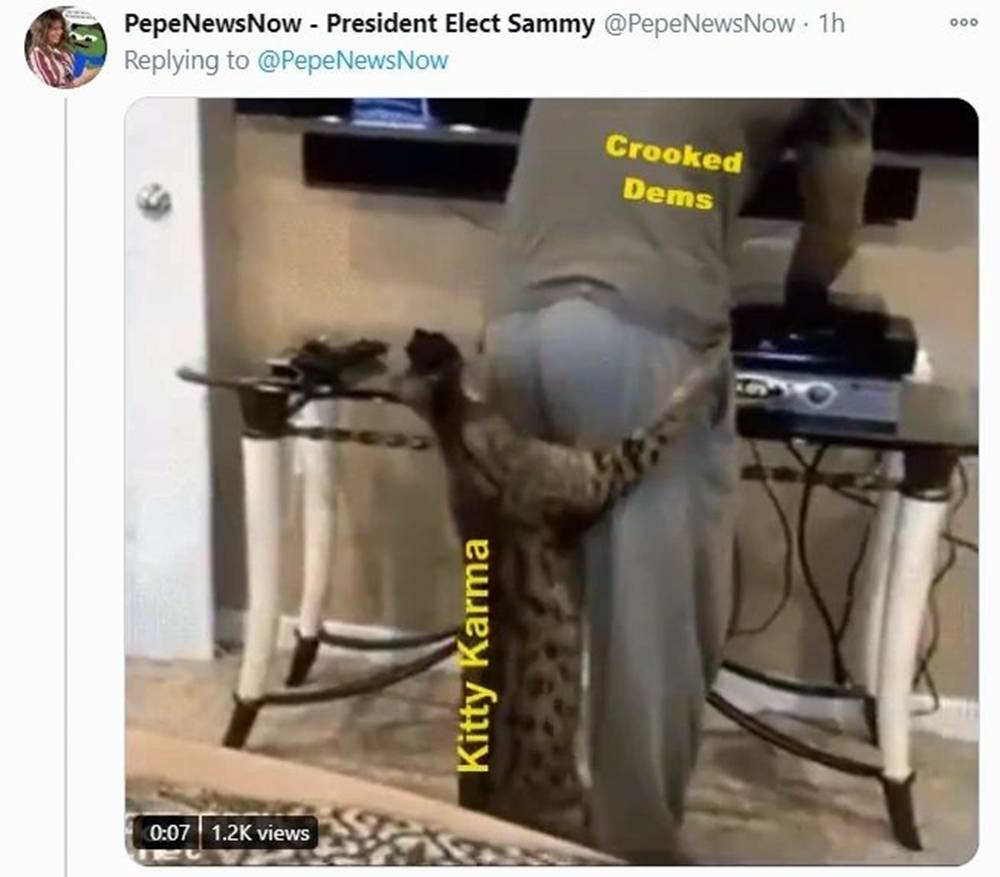 林伍德,特朗普的律师!人们将进监狱,Q 达勒姆|圣诞老人冲浪(海滩广播)