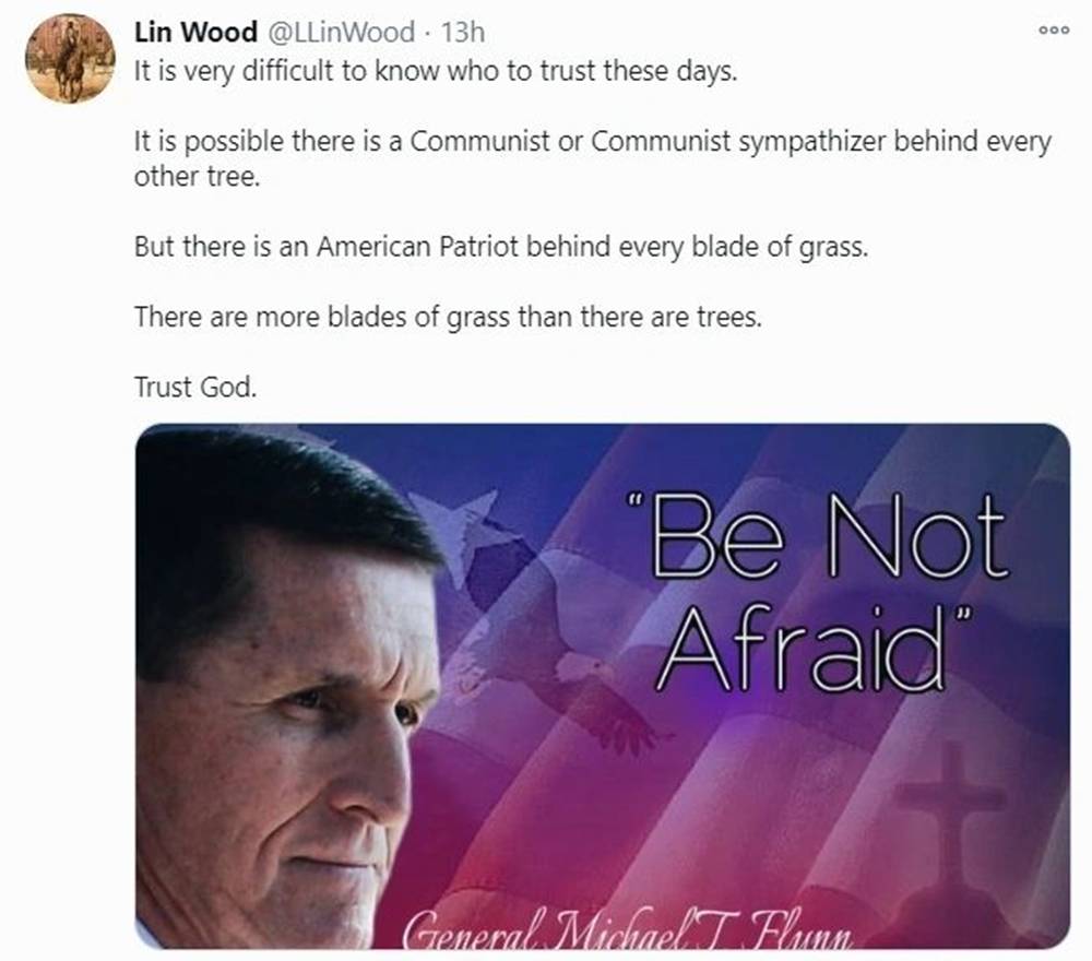 林伍德,特朗普的律师!人们将进监狱,Q 达勒姆|圣诞老人冲浪(海滩广播)