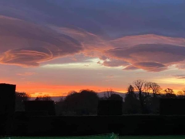 FM144|2020/11/17 召唤行动(和平女神/光之战士)