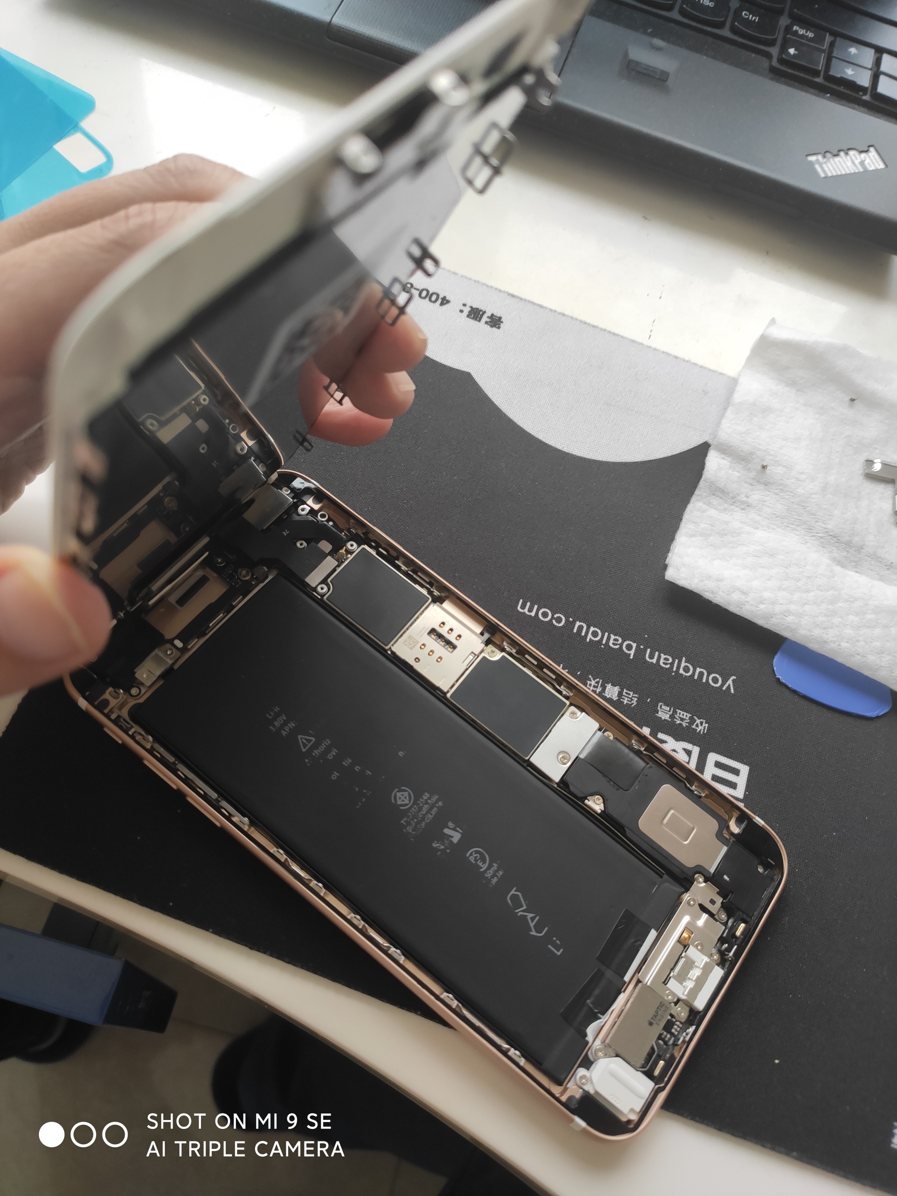 iPhone6sp换屏幕和电池|鸟叔の窝