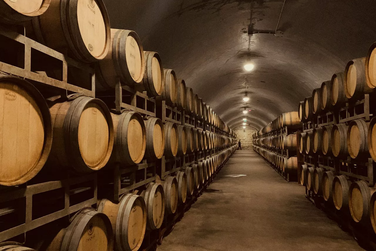 [风云系列] 百年张裕失去的10年-BB姬