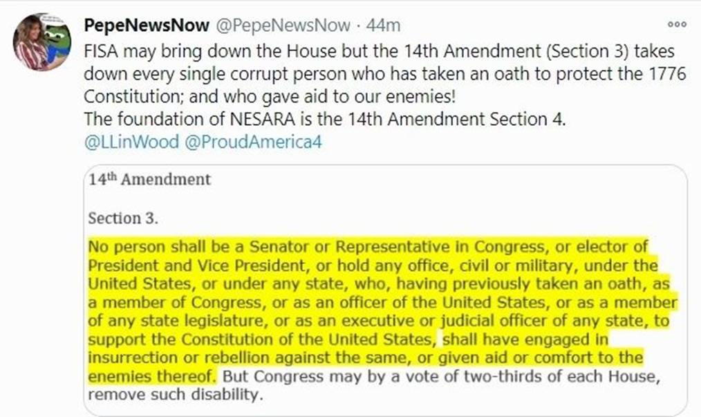 美国宪法第14修正案是 NESARA,打击宣誓就职的腐败分子|圣诞老人冲浪(海滩广播)