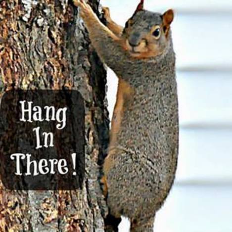 美国宪法第14修正案是 NESARA,打击宣誓就职的腐败分子|圣诞老人冲浪(海滩广播)