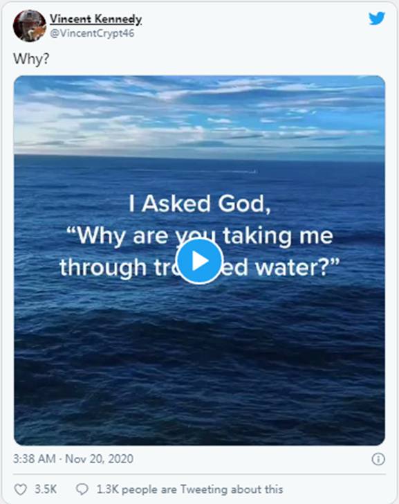 特朗普法律团队令人激动的新闻发布会|Sierra(NZ)