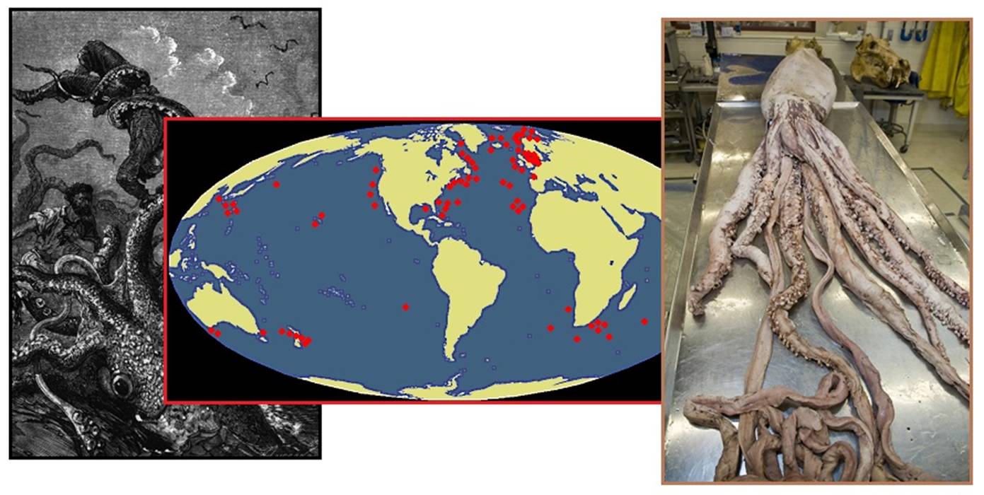 齐塔人之声通讯第738期|2020/11/22 2020年选举状况,选举前景