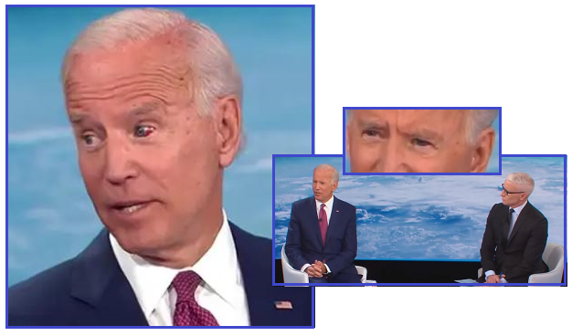 齐塔之声通讯第738X期|2020/11/22 2020年的选择, 美国选举团