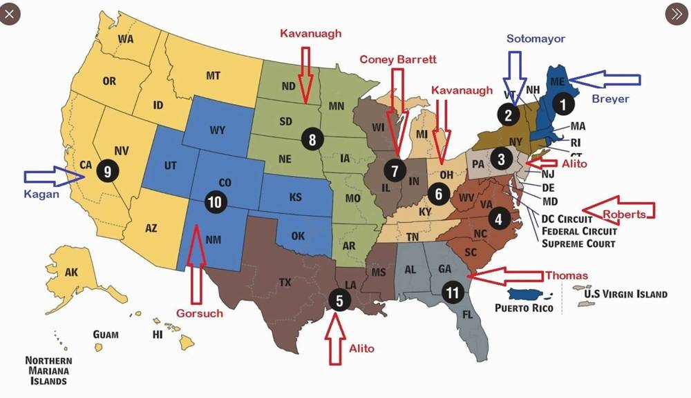 我们人民很好的代表|圣诞老人冲浪(海滩广播)