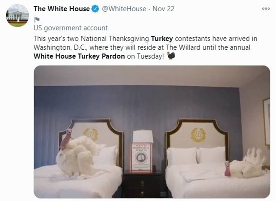 肮脏的民主党大坝正在溃坝,GSA为特朗普提供强大的支持|圣诞老人冲浪(海滩广播)