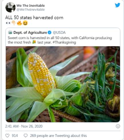 感恩节快乐!|Sierra(NZ)