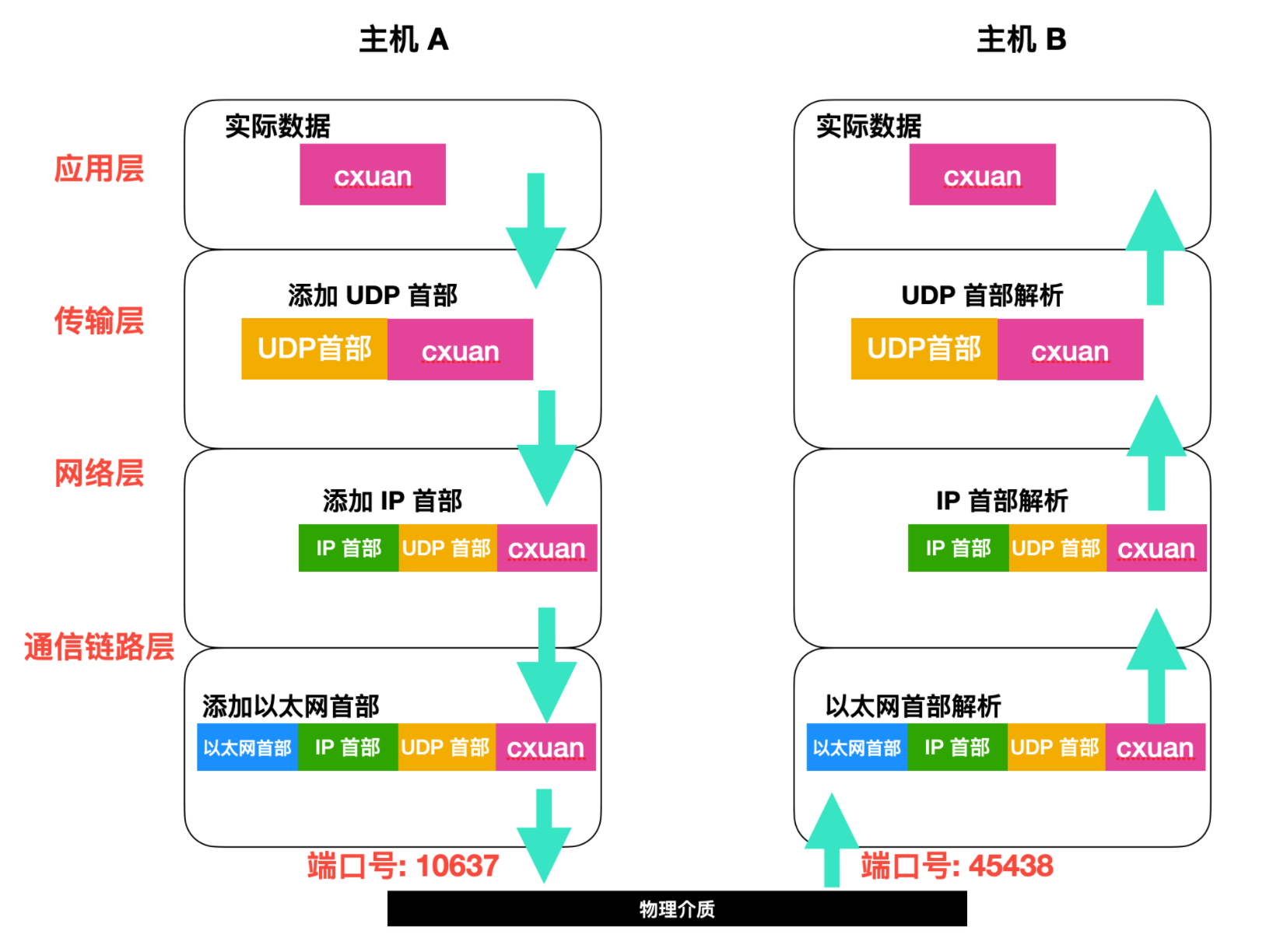 肝了一周的 UDP 基础知识终于出来了。