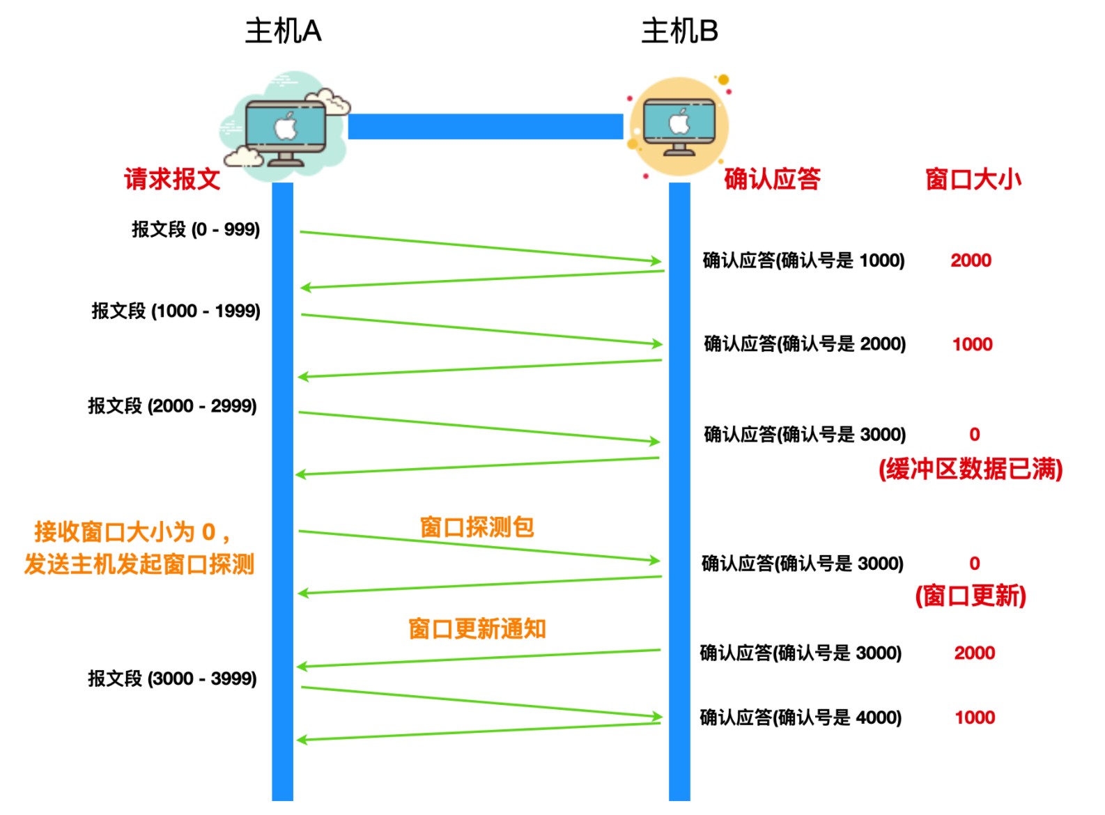 40 张图带你搞懂 TCP 和 UDP_端口号_29