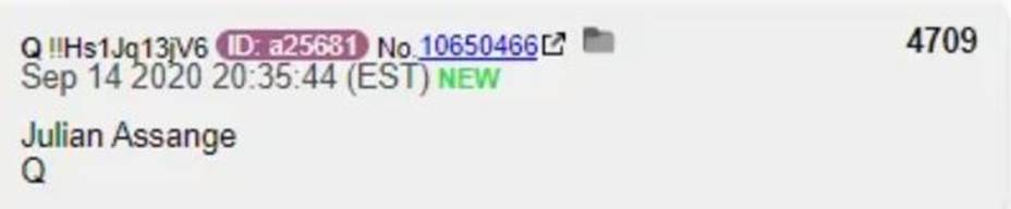 朱利安的女朋友要求赦免,弗林采访,起诉书解封|圣诞老人冲浪(海滩广播)