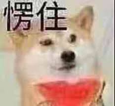 DIrmT0.png
