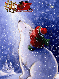 美丽的 JC Kay 视频,推特和总统预言大事件|Kat