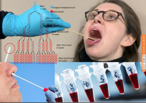 最后的警钟|直到2030年的 COVID 规则,发明者说 PCR 检测结果毫无意义