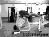 健身房背部肌肉锻炼要领图解（组图）-追梦健身网