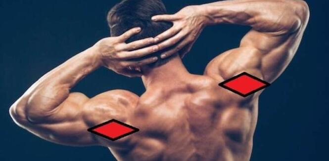 3个动作强化你的三角肌后束-追梦健身网