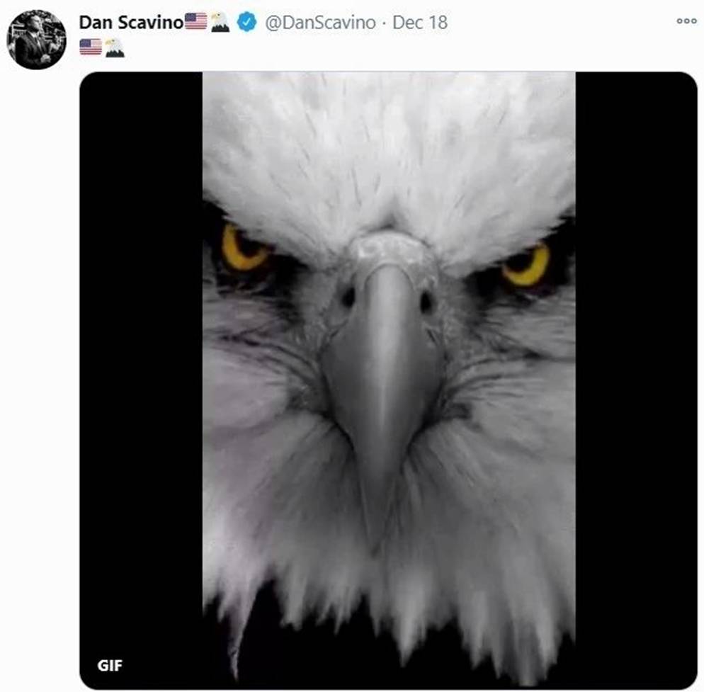 特朗普会雇用鲍威尔吗?一颗星星重生了!|圣诞老人冲浪(海滩广播)