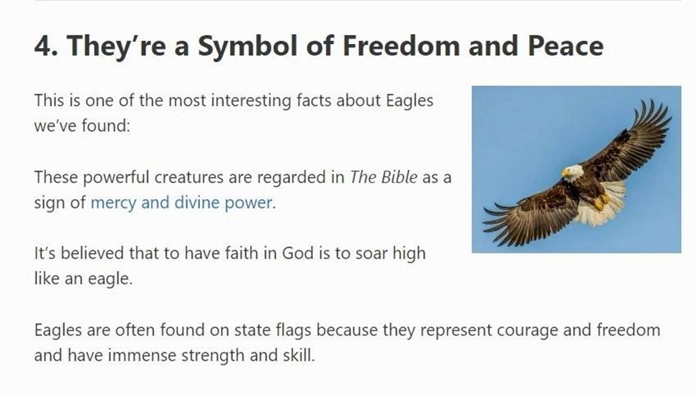 特朗普会雇用鲍威尔吗?一颗星星重生了!|圣诞老人冲浪(海滩广播)