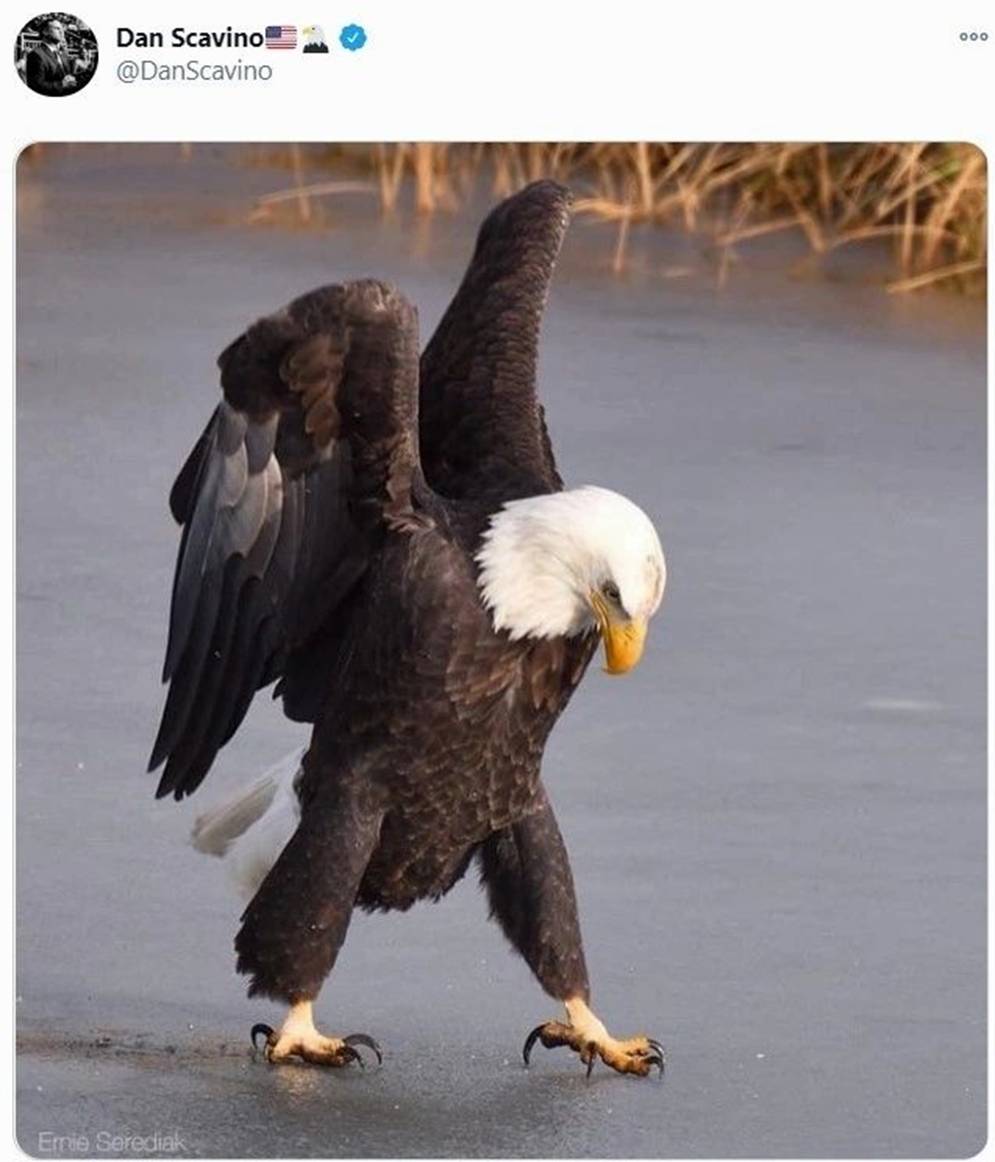 特朗普会雇用鲍威尔吗?一颗星星重生了!|圣诞老人冲浪(海滩广播)