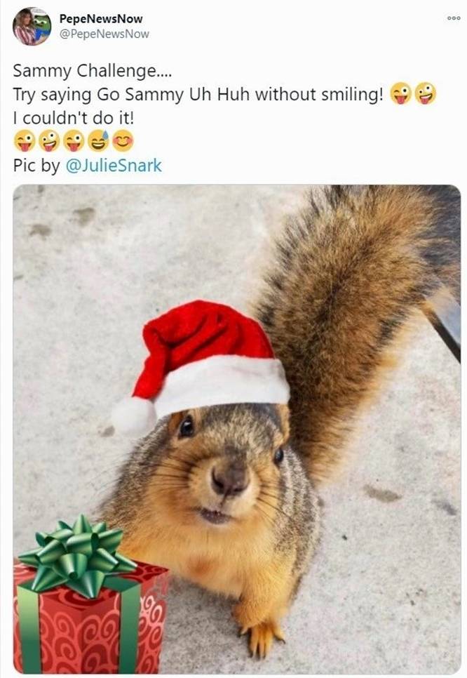 你的财富|圣诞老人冲浪(海滩广播)