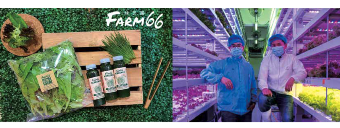 綠芝園投資有限公司 FARM66 INVESTMENT LIMITED參考圖1