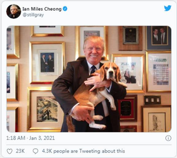 推特片段:2021年1月2日|Sierra(新西兰)