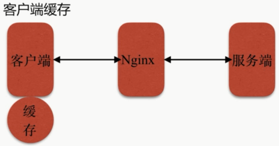 image-20210105100910044