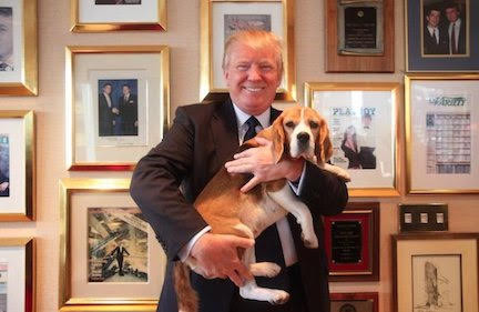 胡安•奥萨文:深呼吸,我们要赢了,支持总统|Kat