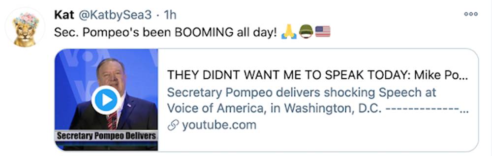 蓬佩奥火了,@NesaraGesara随时待命,还有推特|Kat