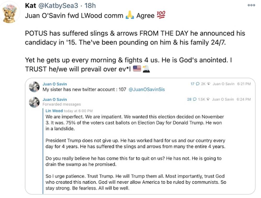 难以置信的史蒂夫•皮切尼克(Steve Pieczenik)谈美国军事政变和逮捕,胡安•奥萨文(Juan O‘Savin)和推特|Kat