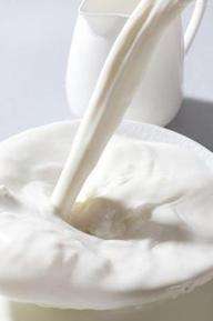 乳糖不耐受的人能喝牛奶-追梦健身网