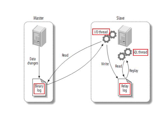 mysql-master