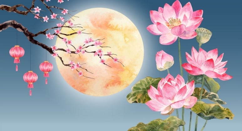 FM144|满月更新(27.02.2021)