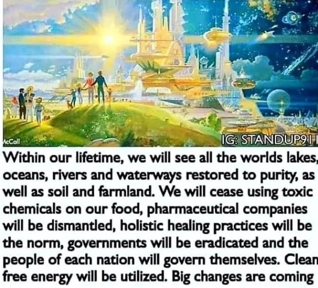 尼古拉斯•维尼亚明:RV、GCR和皇冠宝石ZIM,不再是奴隶!|Kat