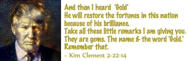 尼古拉斯•维尼亚明:RV、GCR和皇冠宝石ZIM,不再是奴隶!|Kat