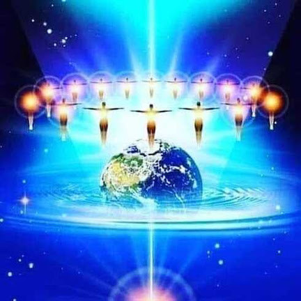 尼古拉斯•维尼亚明:RV、GCR和皇冠宝石ZIM,不再是奴隶!|Kat