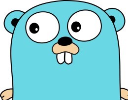 Golang-Windows环境配置踩坑(超详细)