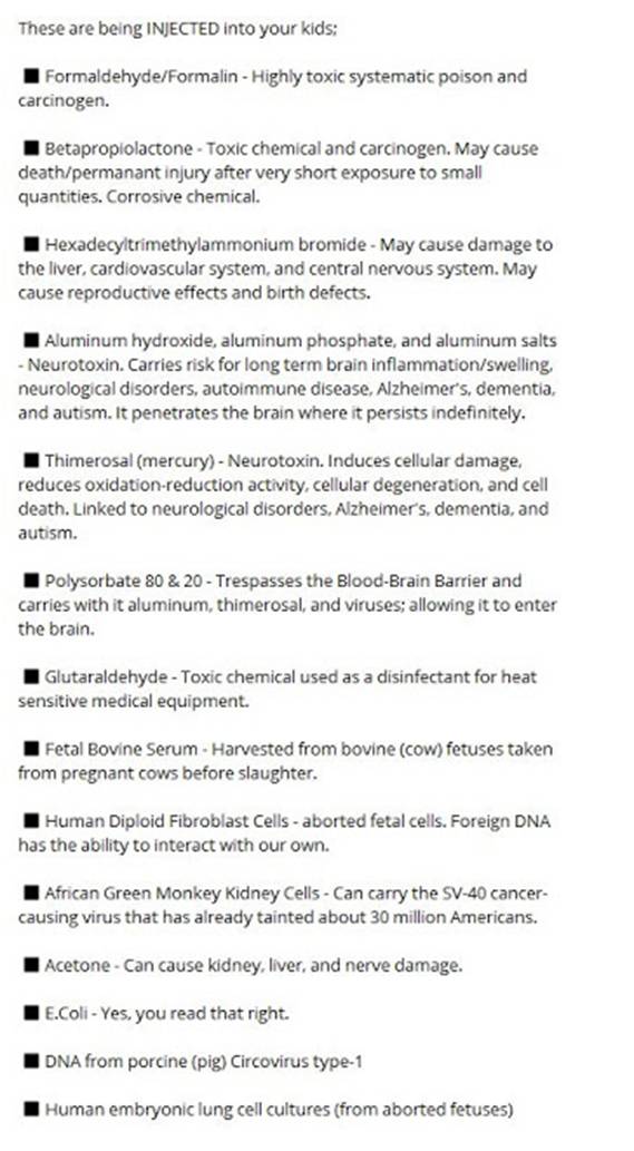 特朗普总统的积极言论和我们的祈祷创造美丽的新世界|Kat