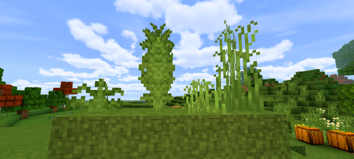 1 16 Better Foliage 更好的植物 原作者 Fused Bolt 基岩版软件资源 Minecraft 我的世界 中文论坛 手机版 Powered By Discuz