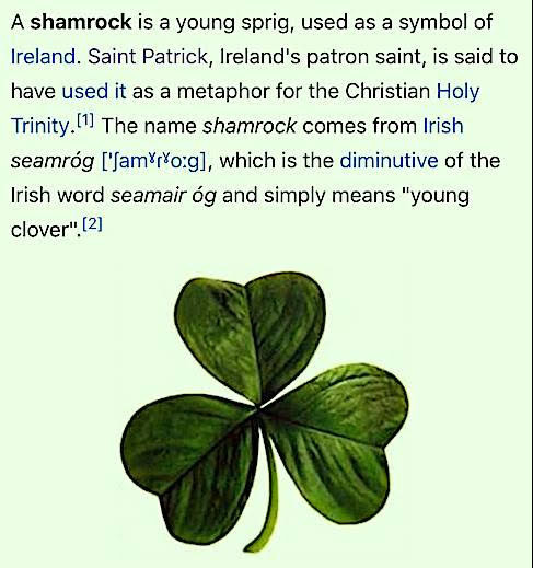 2个简短的查理•沃德视频和3个丹妮尔•斯托金电报:线索,圣帕特里克节和基督意识”|Kat