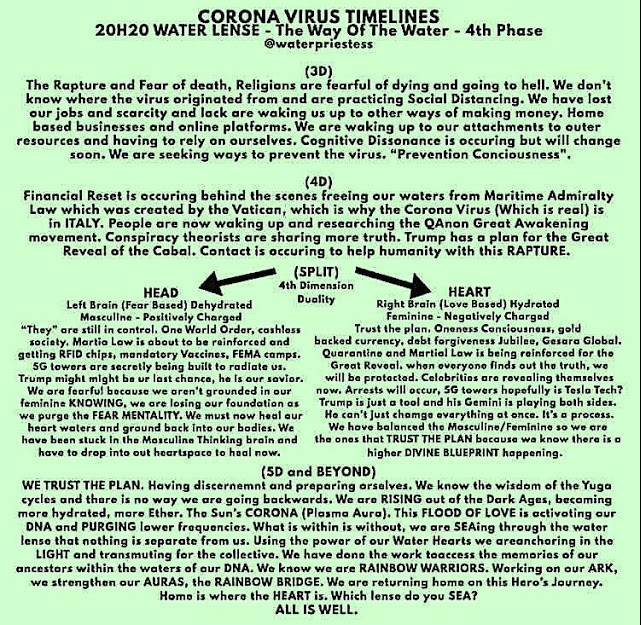 2个简短的查理•沃德视频和3个丹妮尔•斯托金电报:线索,圣帕特里克节和基督意识”|Kat